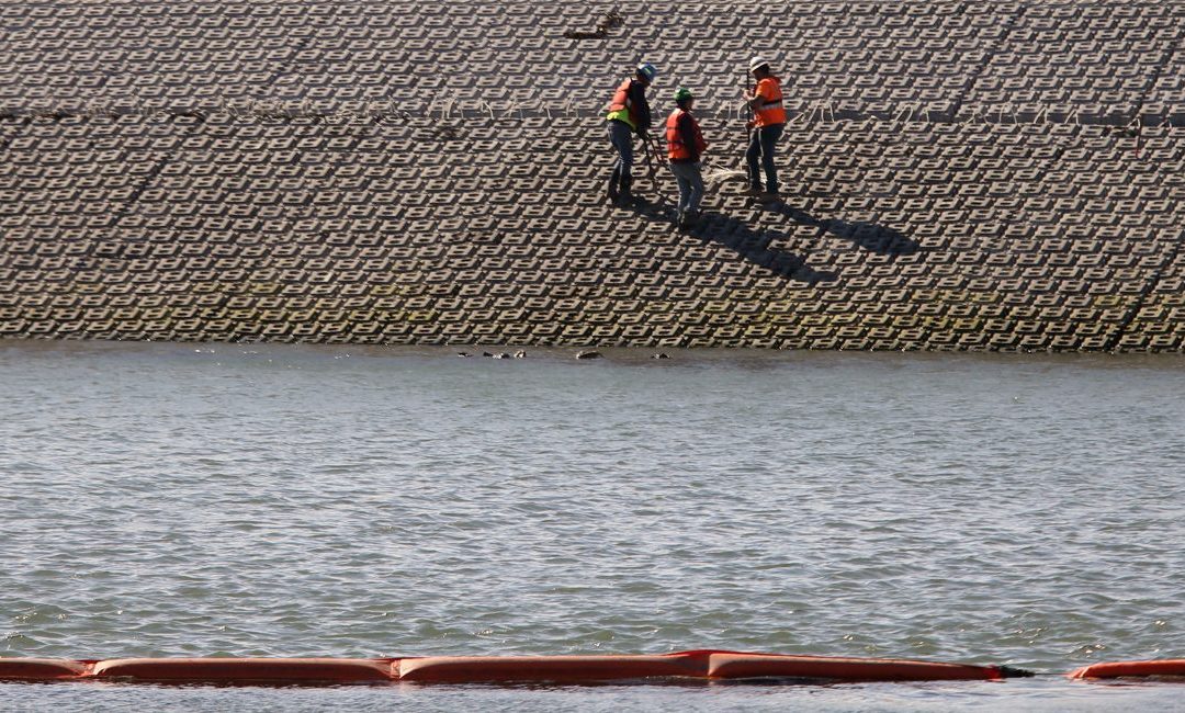 image:Developers Taking a Different Approch in Lynnway seawall
