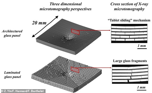 New Type of Glass Inspired by Seashells Could Pave the Way for Shatterproof Phone Screens