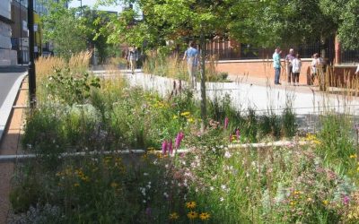 Planning Applications Can Be Held Up By SuDs Design, Report Finds