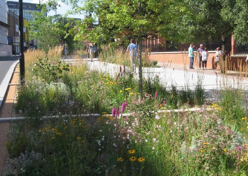 Planning Applications Can Be Held Up By SuDs Design, Report Finds