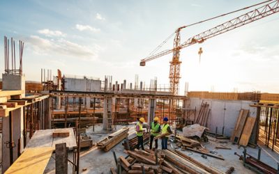 Lessons and Insights From a Top-Fught Construction Firm