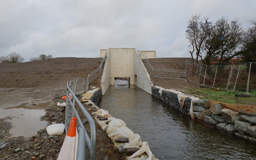 Flood Risk Management: Slowing the Flow
