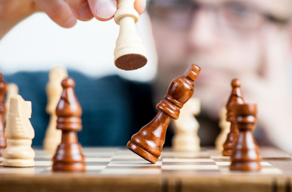 CEO Coaching: Strategic Review