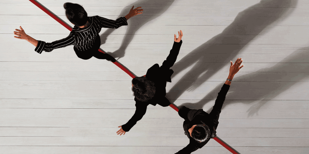 The New Behavioral Science of Risk Taking in Business