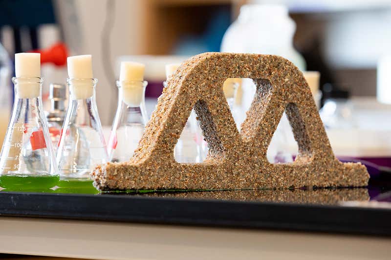 Living ‘concrete’ Made From Bacteria Used to Create Replicating Bricks