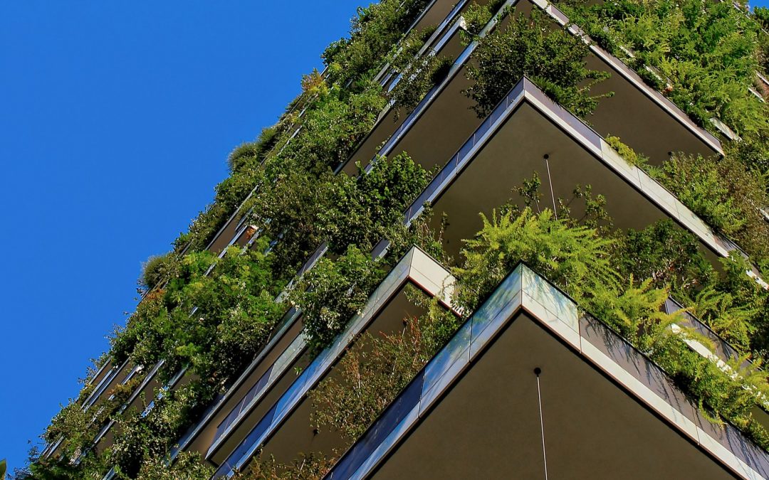 How the Transition to Green Construction Drives Business Growth