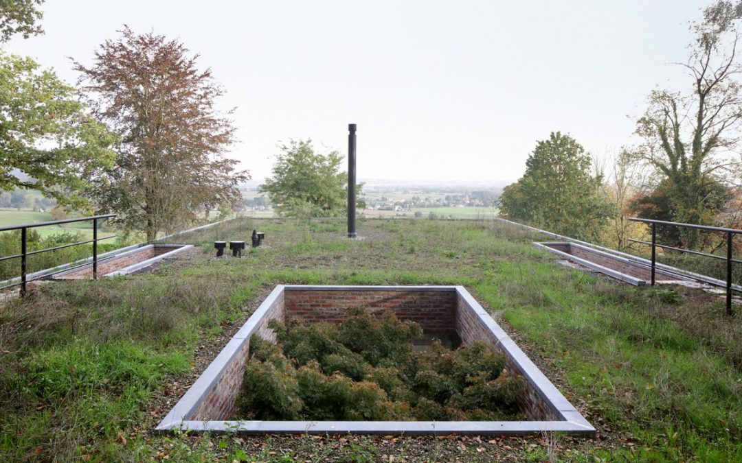 Green-roof Family Home Vanishes into the Landscape