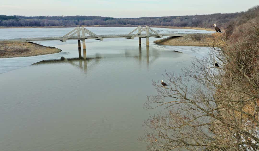 Time is Ripe to Ponder the Beauty of Mehaffey Bridge.jpg