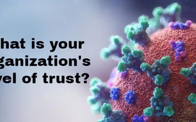What Working Remotely Has Taught Us About Trust