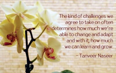 What Growing An Orchid Taught Me About How To Successfully Change And Adapt