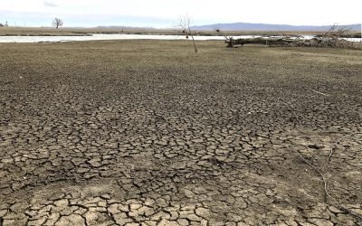 Battered By Floods, U.S. River Communities Try New Remedies