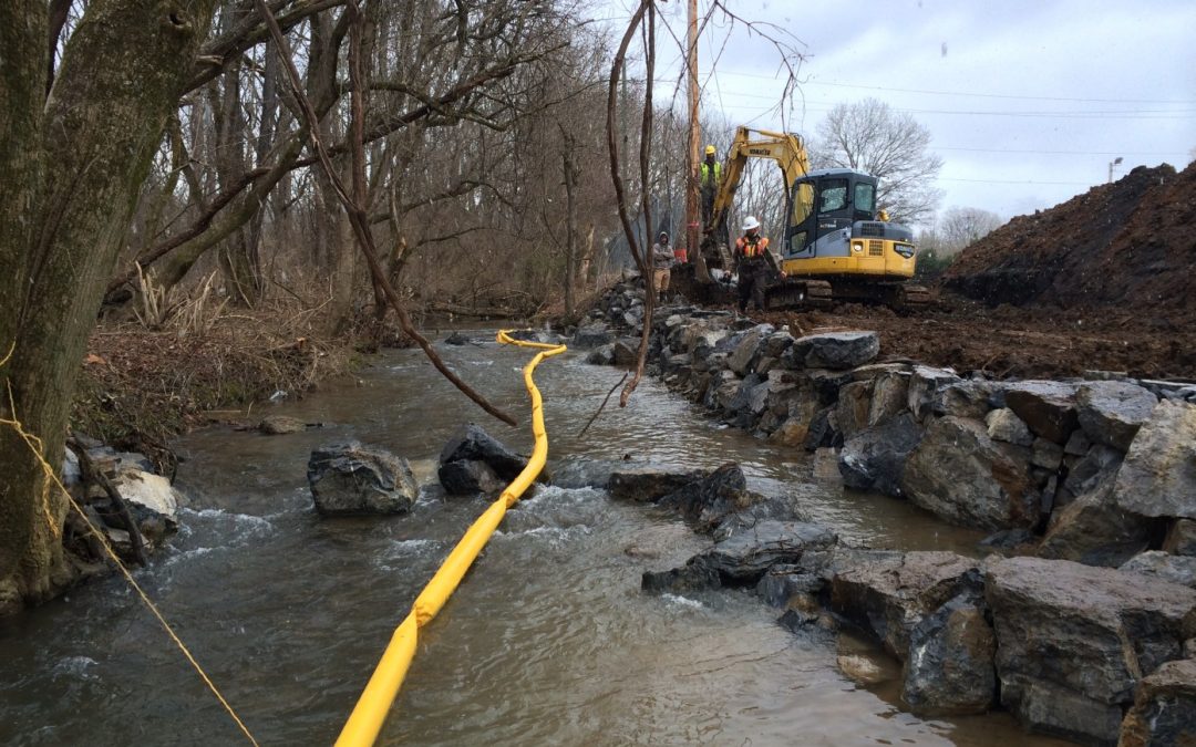 Engineers and Wetland Scientists Face Challenges with Regulatory Changes to the Clean Water Act