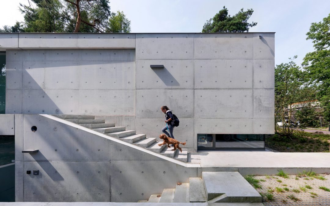 Possibilities of Forms for Molding Exposed Concrete