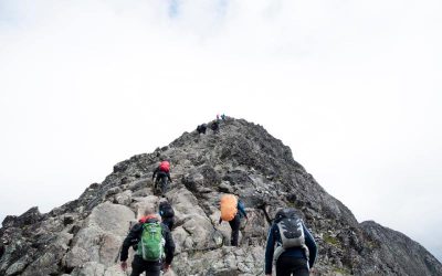 Co-Elevation: Your Way to Leading Without Authority