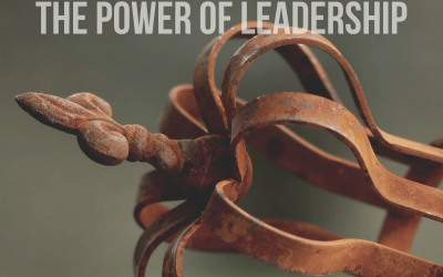 How to Wisely Wield the Power of Leadership