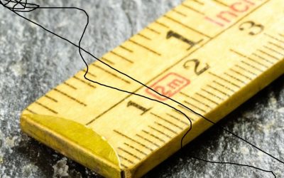 How Do We Identify Leadership If We Taint the Definition With Politics and Ideology? Here Are 10 Enduring Principles of Great Leaders