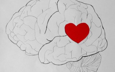 Essential Decision Making Emotions: Are You Using These? | #Leadership