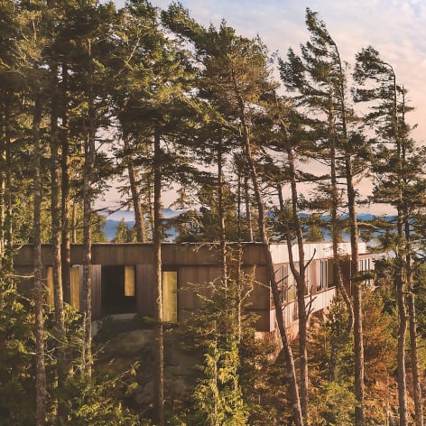 7 Homes that Blend Perfectly with Nature