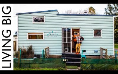 A Perfect Tiny Home For A Woman And Her Dogs