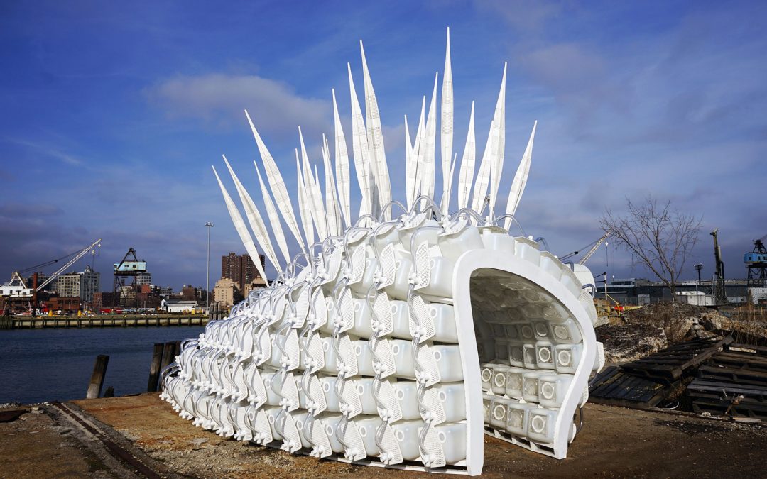 Concrete Inovation: This Firm is Using Design to Combat Extinction