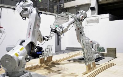 Worth Building Complex Structure: Robots and Humans Collaborate to revolutionize Architecture