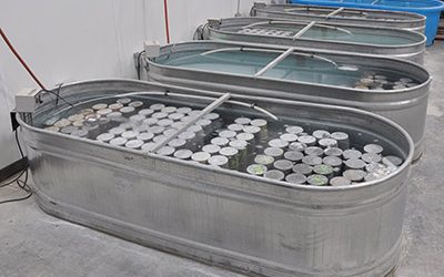 Nondestructive Tests:  DThe benefits of maturity testing for Concrete