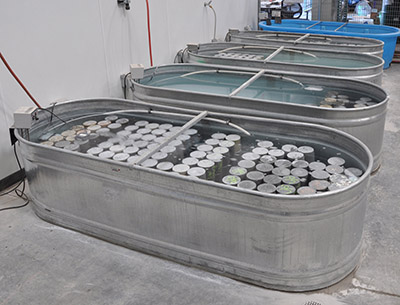 Nondestructive Tests:  DThe benefits of maturity testing for Concrete