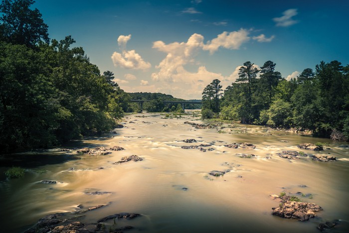 Polymer-coated Electrode Detects PFAS in Water