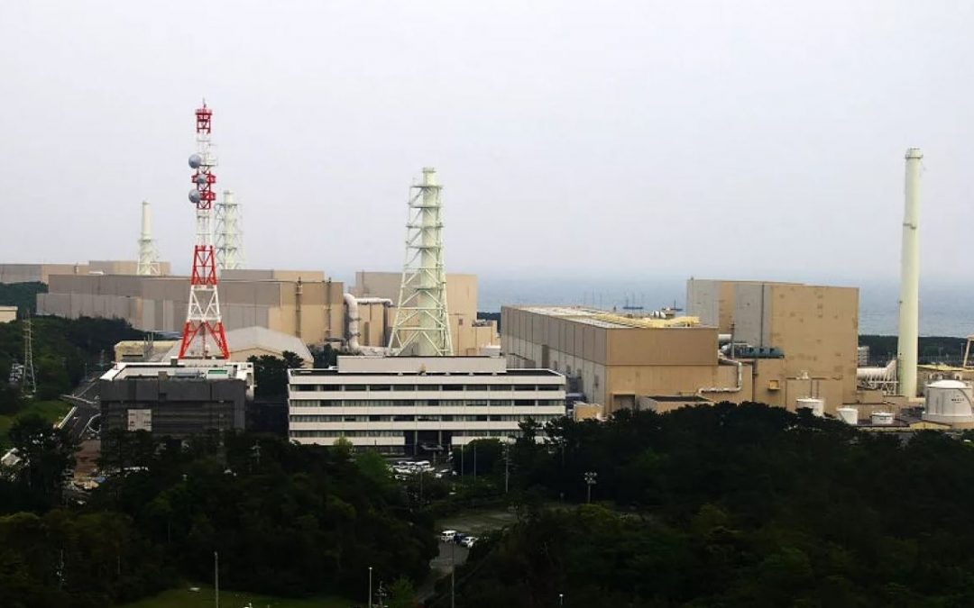 Ancient Roman Concrete Mineral Found Strengthening Nuclear Reactor Walls