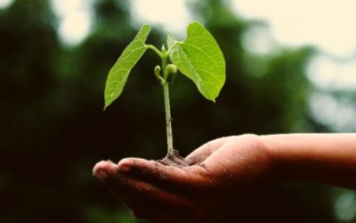 3 Ways Managers Can Attract and Keep Top Talent