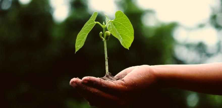 3 Ways Managers Can Attract and Keep Top Talent