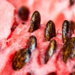 Boosting Concrete's Compressive Strength by Watermelon Seeds
