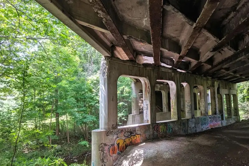 Researchers Analyze DNA of Bacteria in Concrete