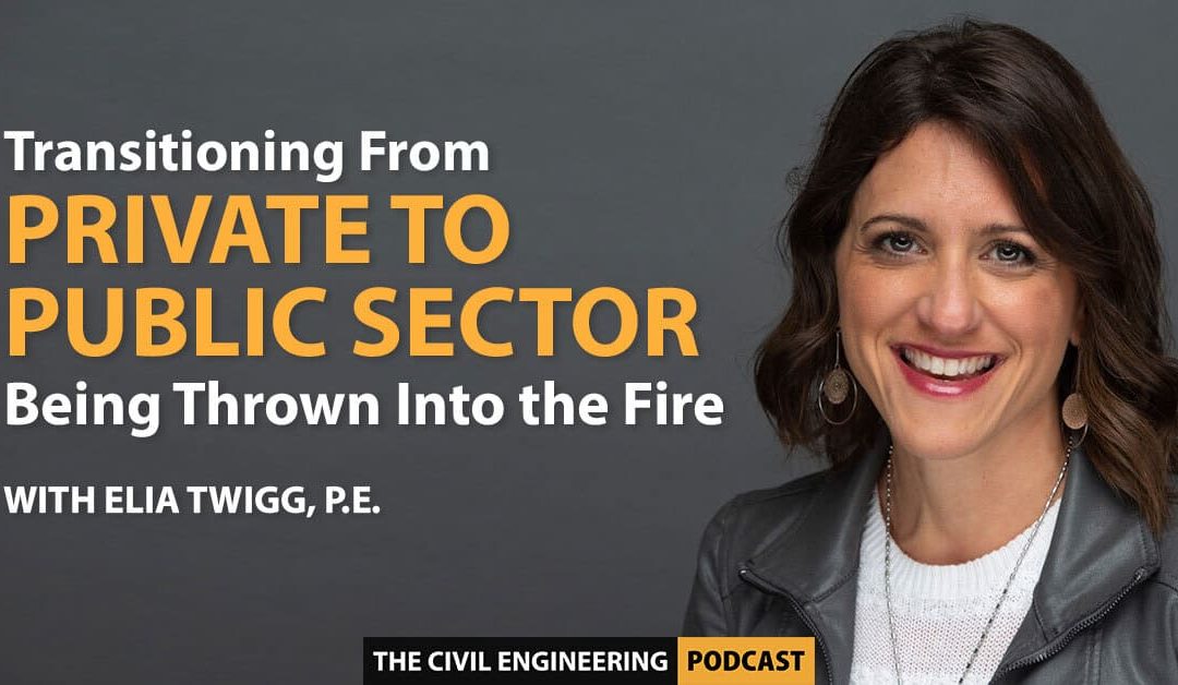 podcast - Transitioning From Private to Public Sector