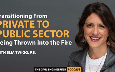 PODCAST – Transitioning From Private to Public Sector