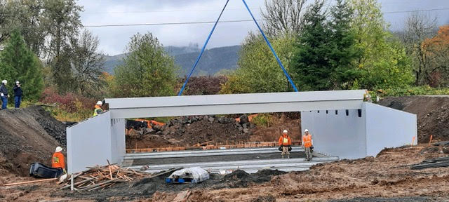 It Took Only a Day to Install this Bridge