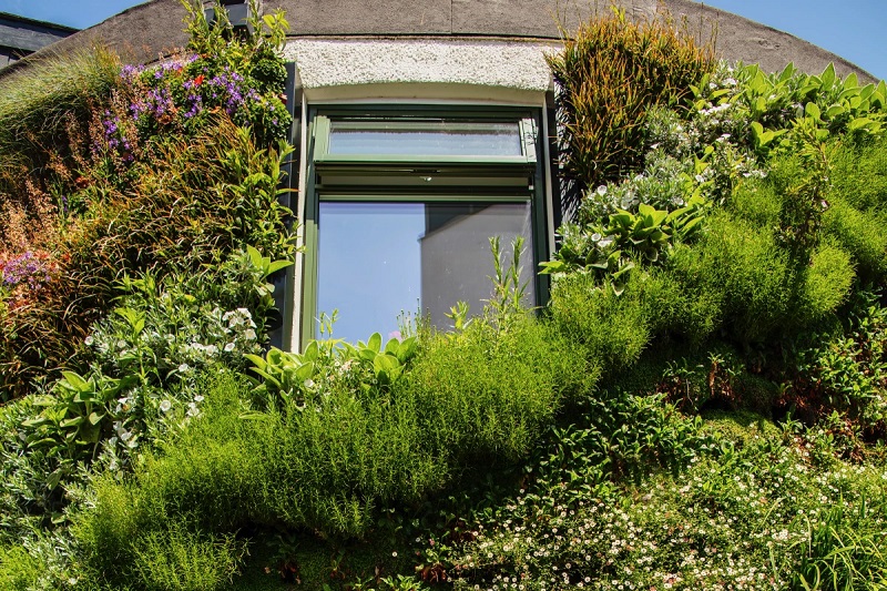 "living walls" are also claimed to help regulate the temperature