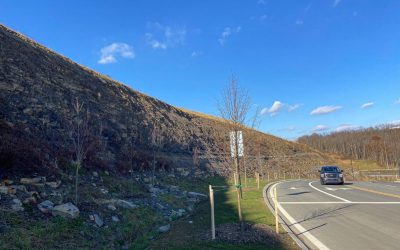 Study Assesses Best Ways to Stop Road Damage from Rocks