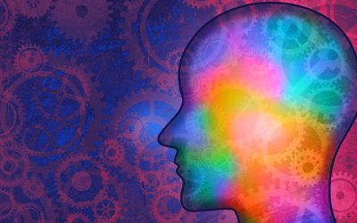 Why Leaders Need “Meta-awareness”
