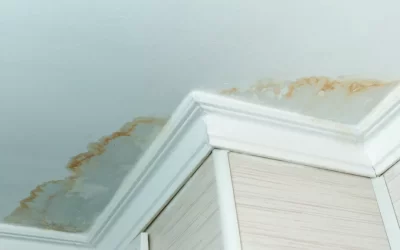 How to Paint Over Water Stains