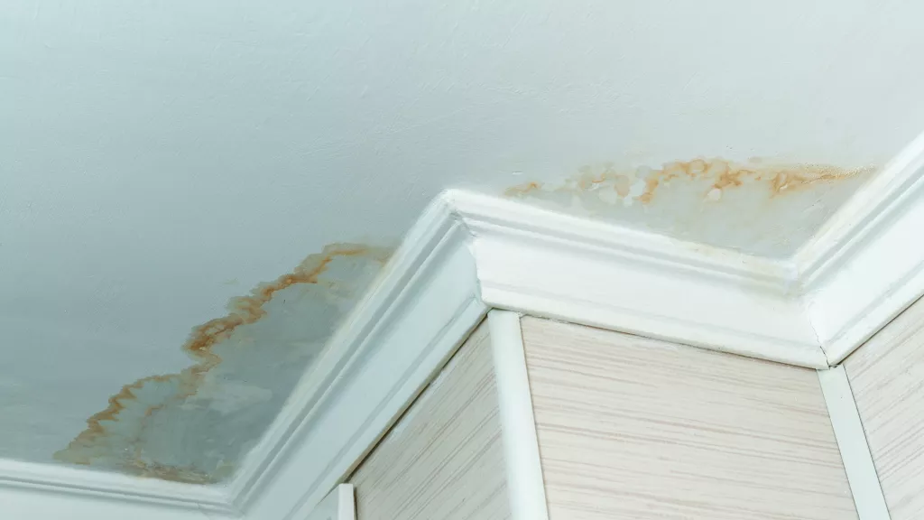 Painting Over Water Stains: Pro Tips for the Perfect Finish