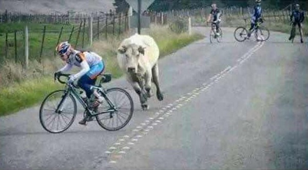 Steps to Move From Frustrated to Motivated