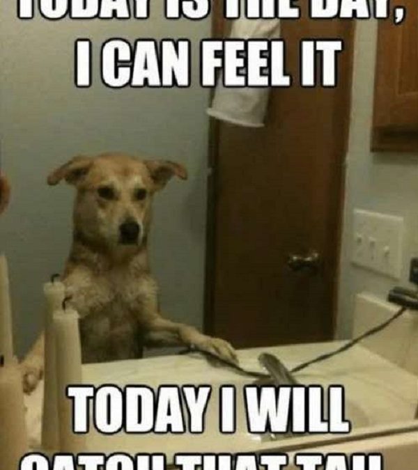 Facing a Big Challenge? Try These 5 Strategies