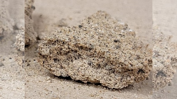 Researchers Grow Bricks from Bacteria