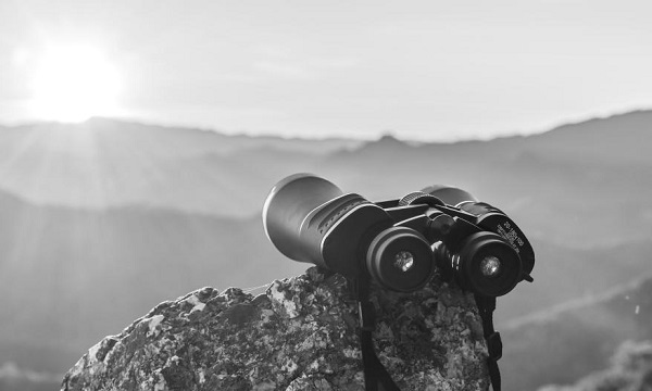 How Character and Vision Drive Leadership Success