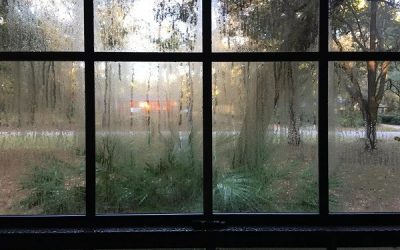 How to Reduce Humidity in a House