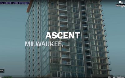 How Wood is Rising in the Construction World