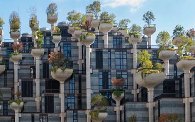 What is embodied Carbon and How can we Deal with it?