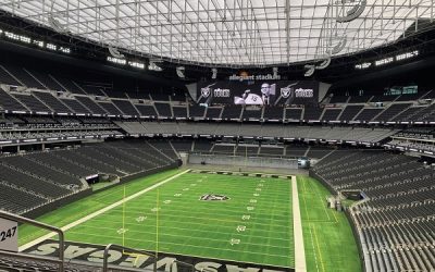 Seismic Resilience and Sustainability with Structural Lightweight Concrete