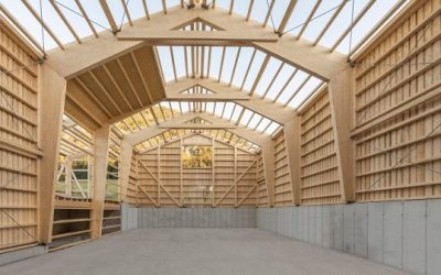EU Construction Industry’s Green Dilemma: The Timber vs Concrete Debate